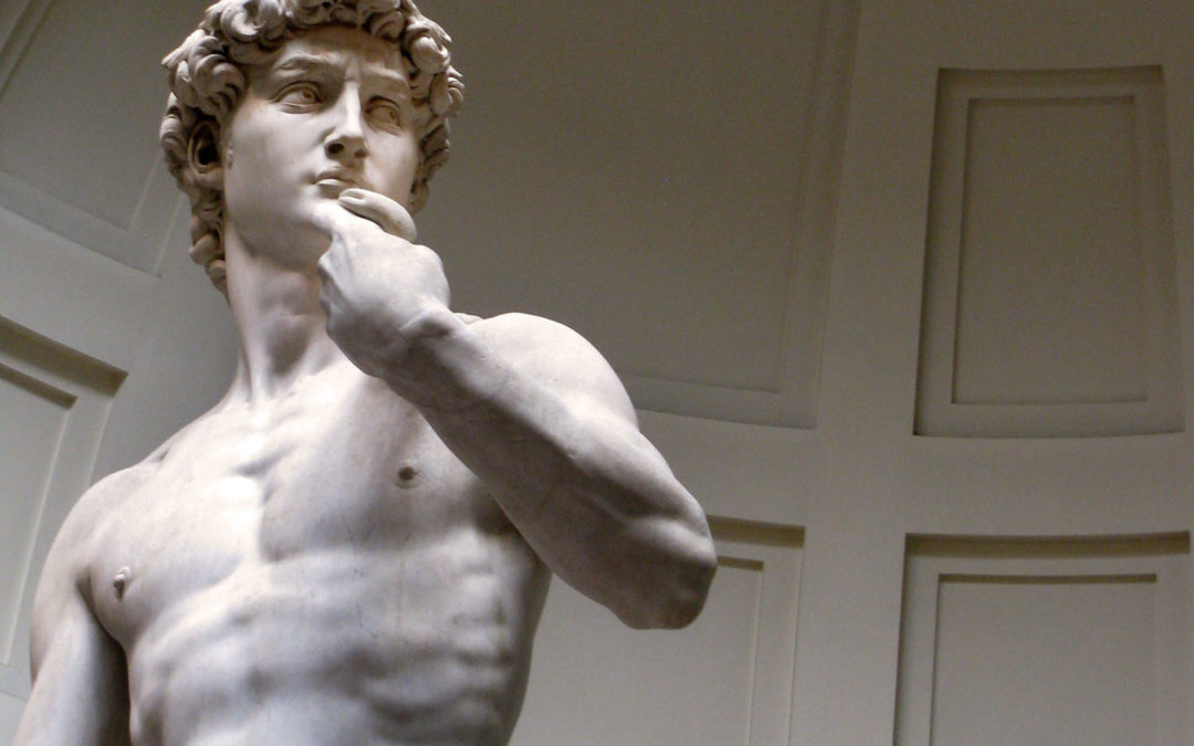 Il David di Michelangelo e i Medici