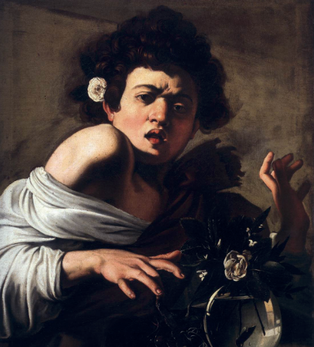 Caravaggio nel mondo: Ragazzo morso da un ramarro