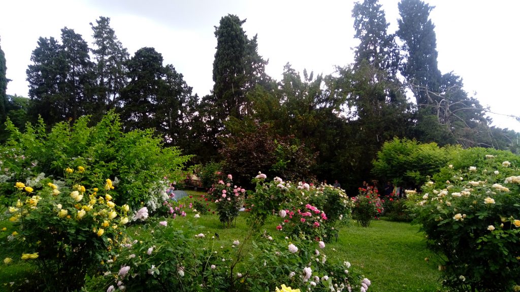 Giardino delle Rose Firenze