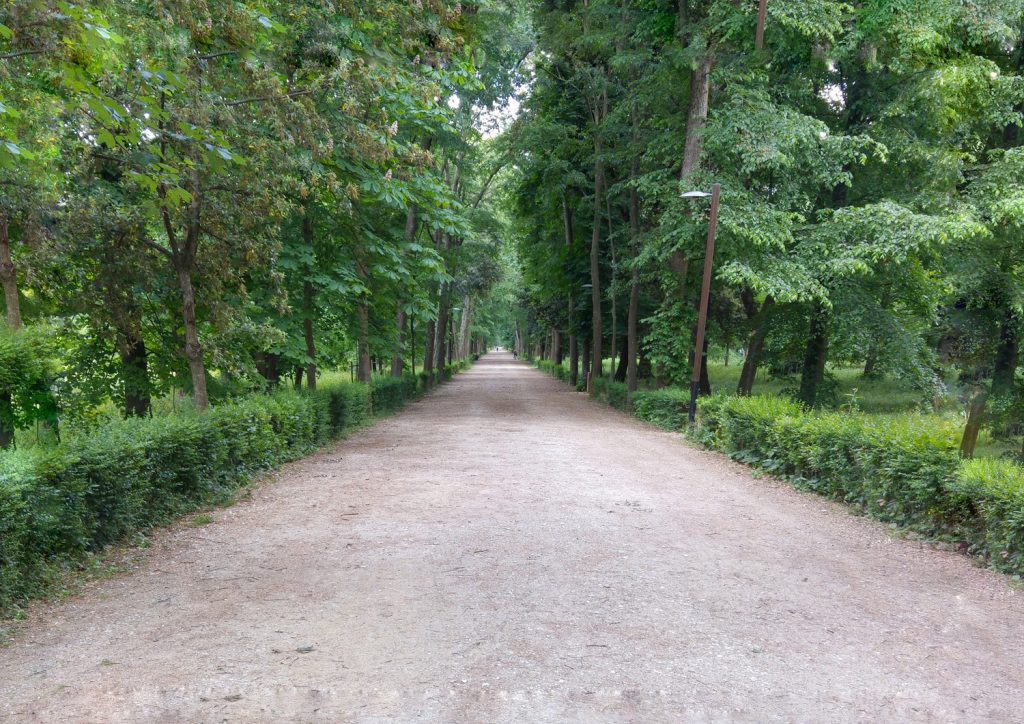 Parco delle Cascine Firenze